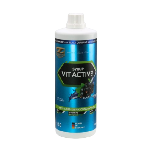 Obrázek VITACTIVE SIROP + L-KARNITIN - 1000ML BORŮVKY